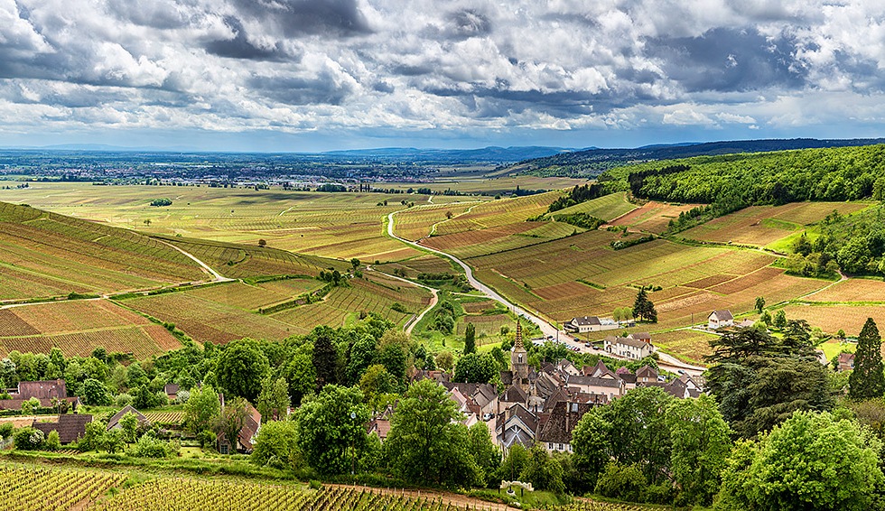 Vineyards and a town in Burgundy