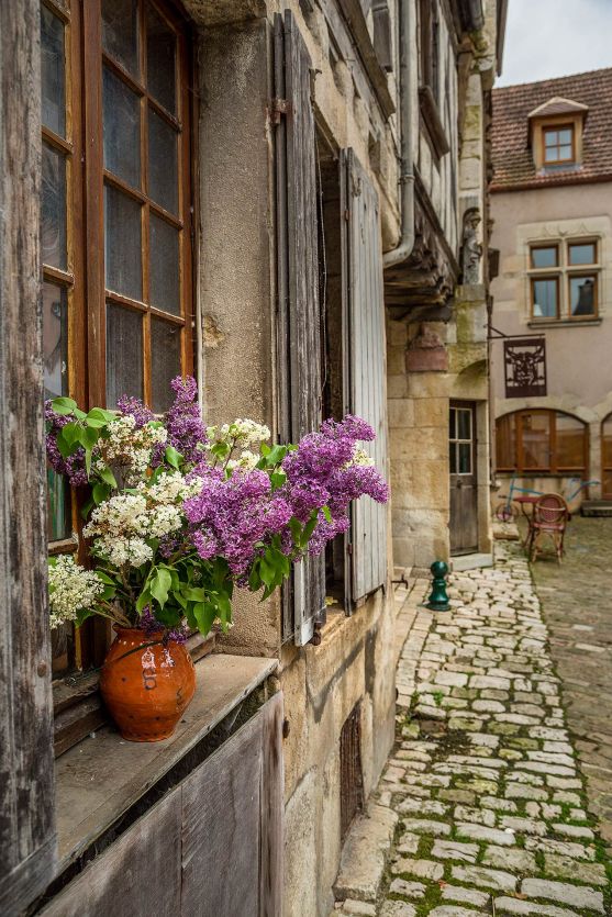Flowers in Noyers-sur-Serein, Burgundy