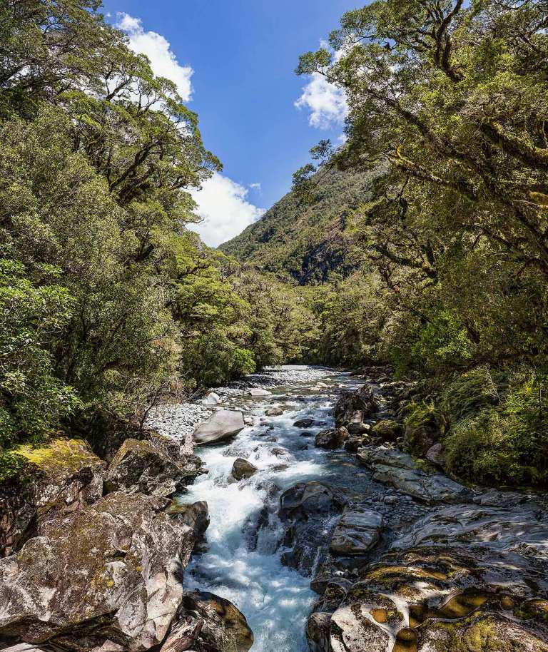 On the road to Milford Sound... © Michael Evans Photographer 2015