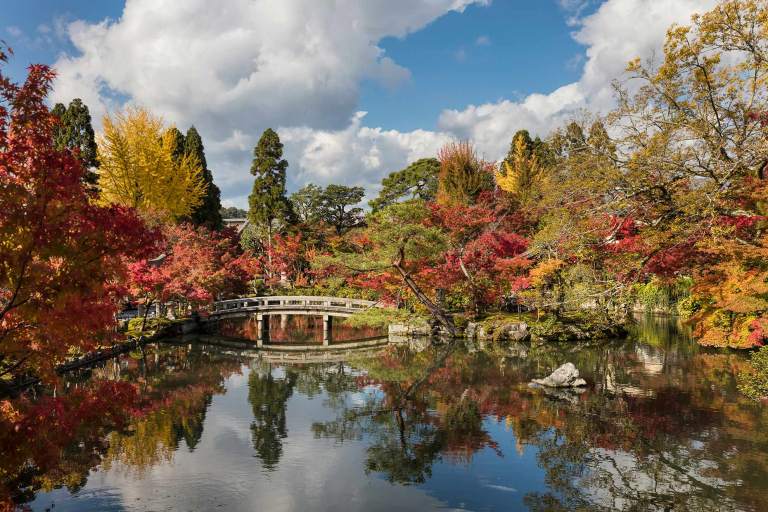 Autumn colour in Kyoto, Japan © Michael Evans Photographer 2017  - www.michaelevansphotographer.com